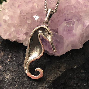 Sterling Silver Seahorse Necklace - Necklace - AlphaVariable