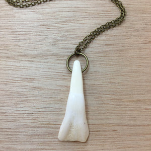 Buffalo Tooth Necklace - Necklace - AlphaVariable