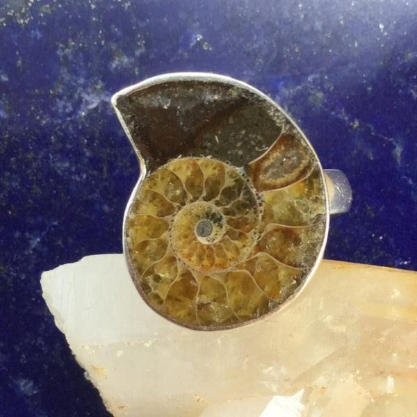 Ammonite Ring - Ring - AlphaVariable