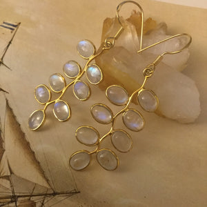 Gold Moonstone Earrings - Earrings - AlphaVariable
