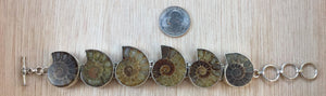 Sterling Silver Ammonite Bracelet - Bracelet - AlphaVariable
