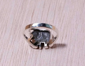 Elephant Ring - Ring - AlphaVariable