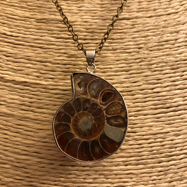 Ammonite Necklace - Necklace - AlphaVariable